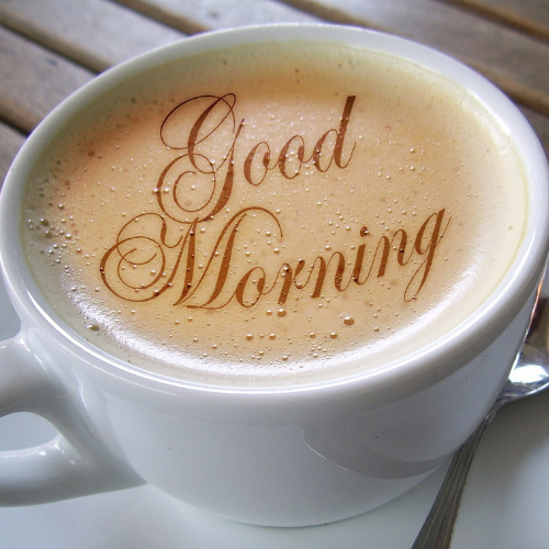 tfz Network Breakfast Mai